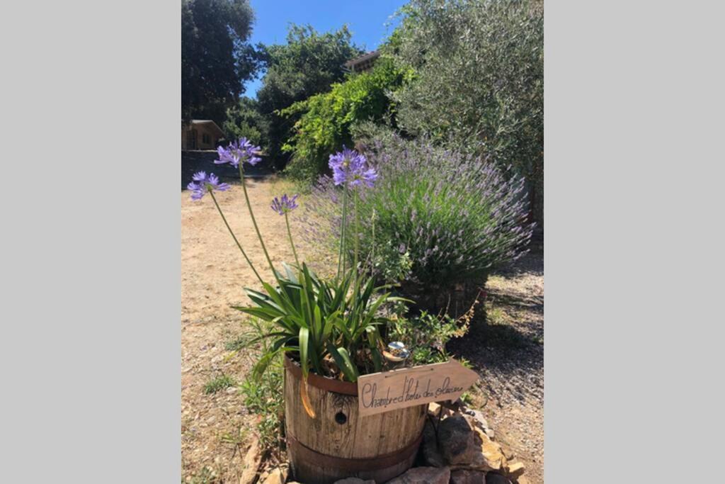 Chalet Ma Petite Des Oliviers La Roque-sur-Ceze
