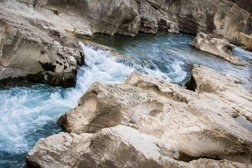 Ma Petite Des Oliviers La Roque-sur-Ceze